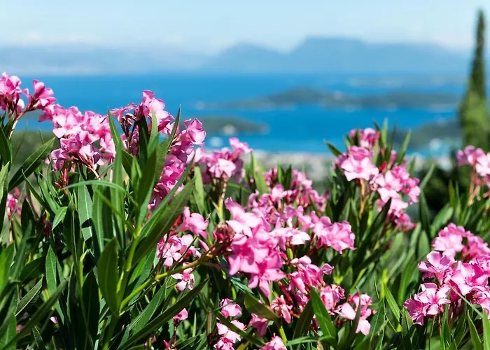 Villa The View Lefkada *